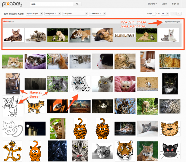 Can I get Sued for Using Images on my Blog - Free Images of Cats for your Blog