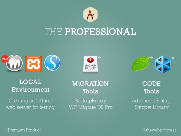Becoming a Professional WordPress Front End Developer - Theme Development_2.015